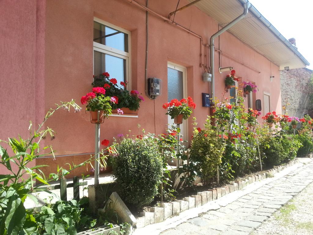 Center Park Apartment Cluj-Napoca Exterior foto